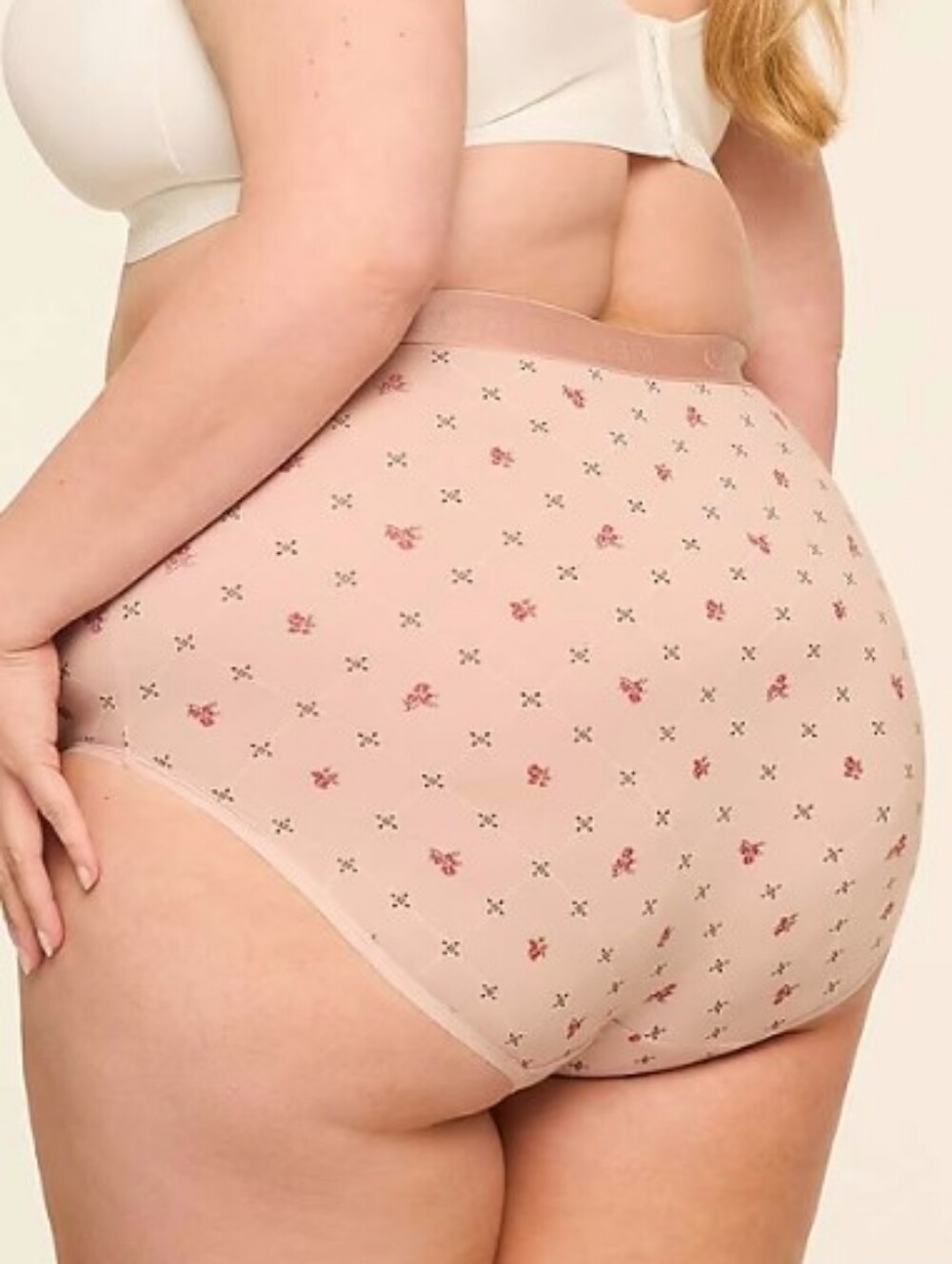 Cacique 18/20 Cotton High Waist Brief